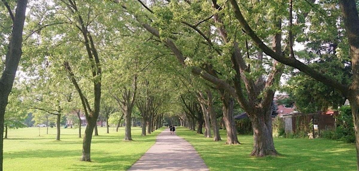 Ravine Hike to Wychwood Barns Farmers Market