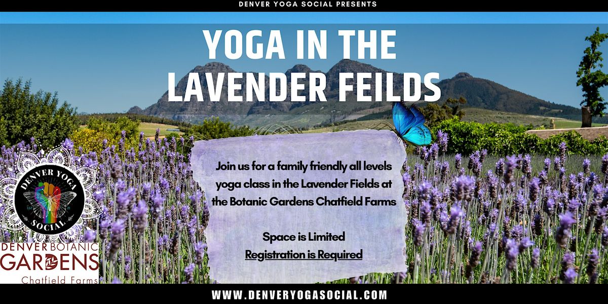 Yoga in the Lavender Fields at the Botanic Gardens Chatfield Farms