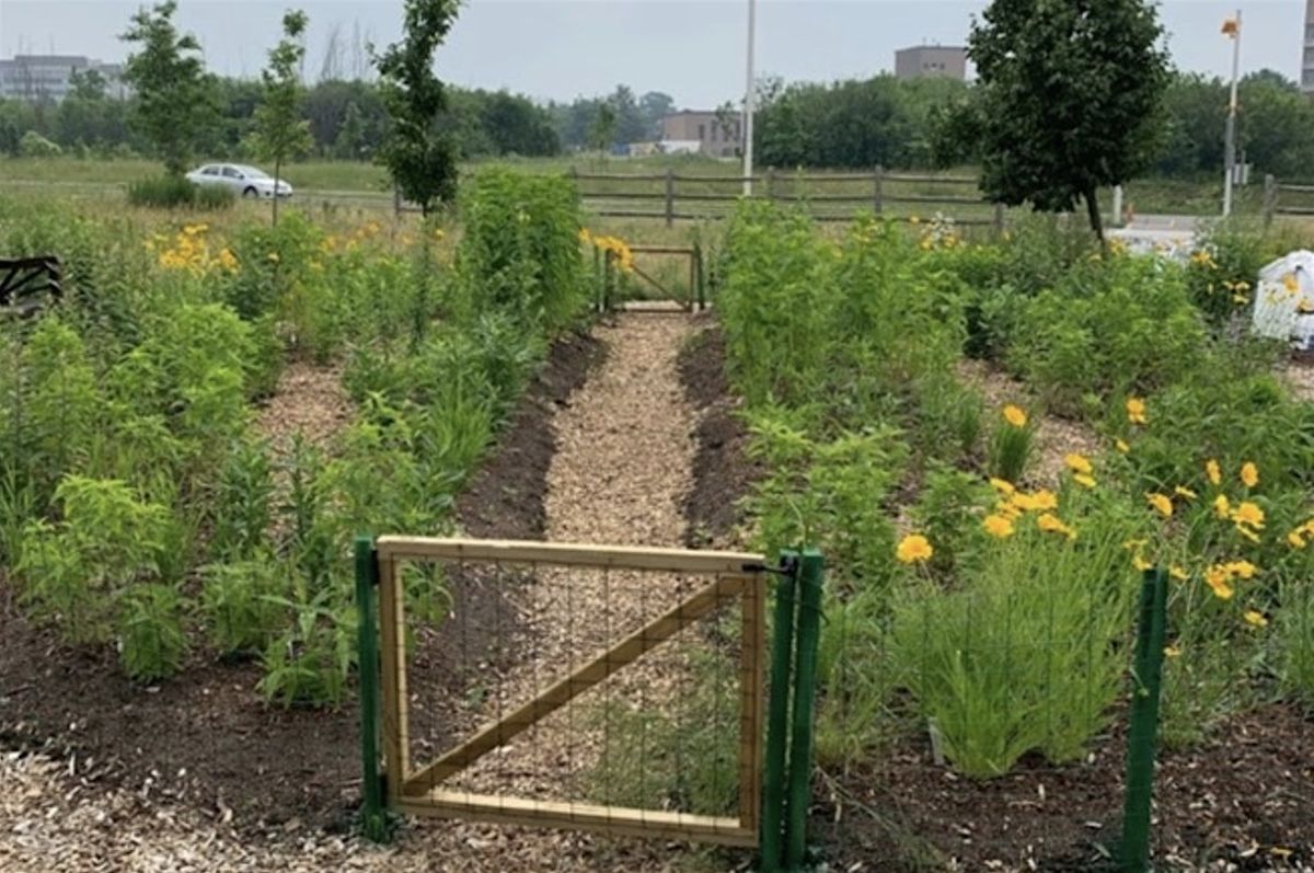 Opening our parks to pollinators