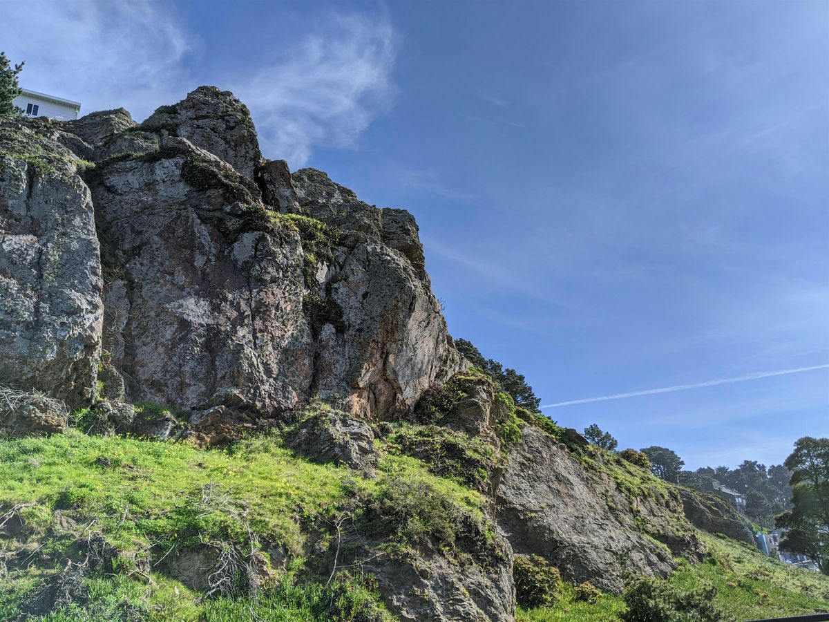 Connecting Nature on the Crosstown Trails