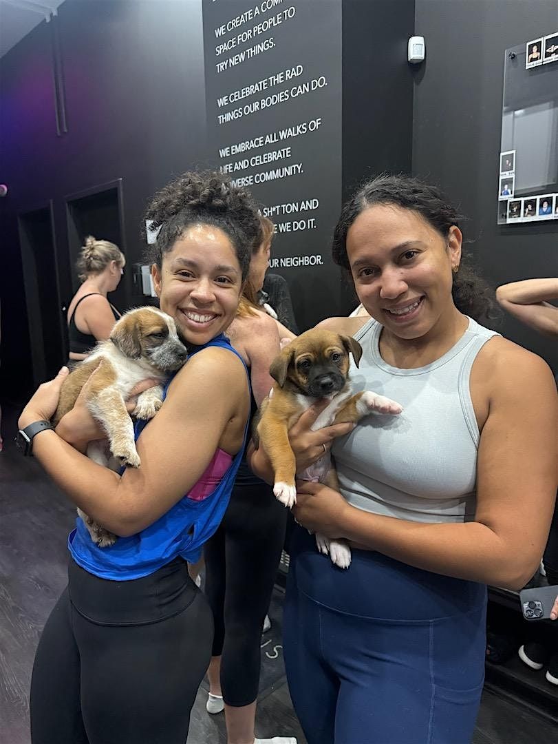 Puppy Fitness Class with Hype Haus Fitness & Take Paws Rescue