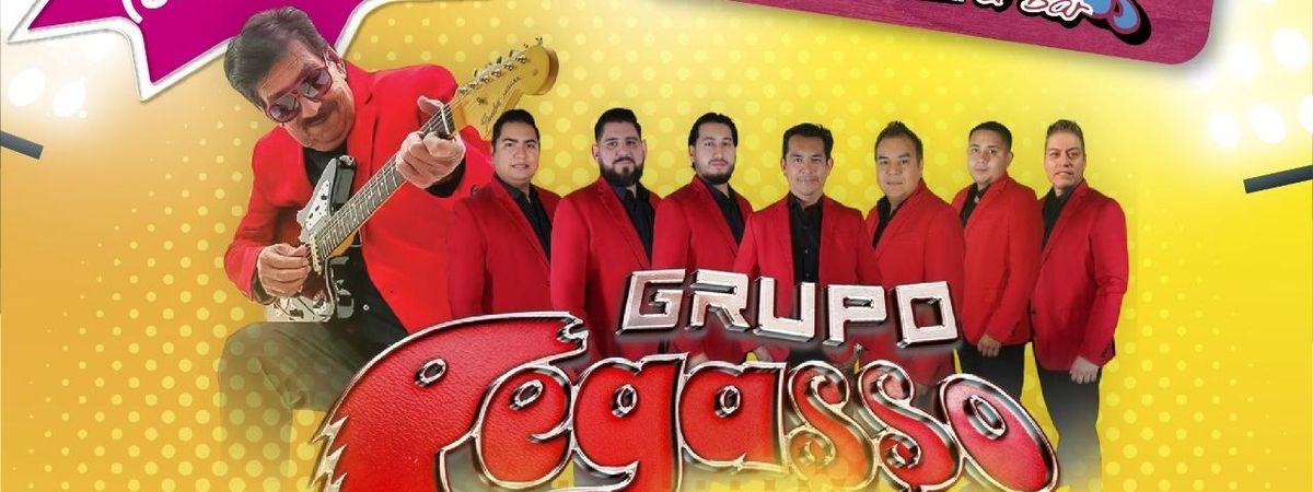 GRUPO PEGASSO 