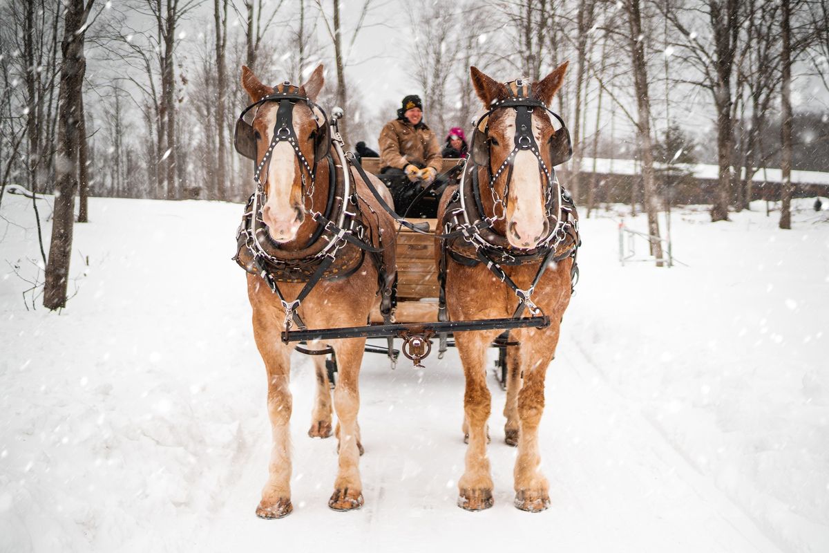 Valentines Day Sleigh Ride and Dinner