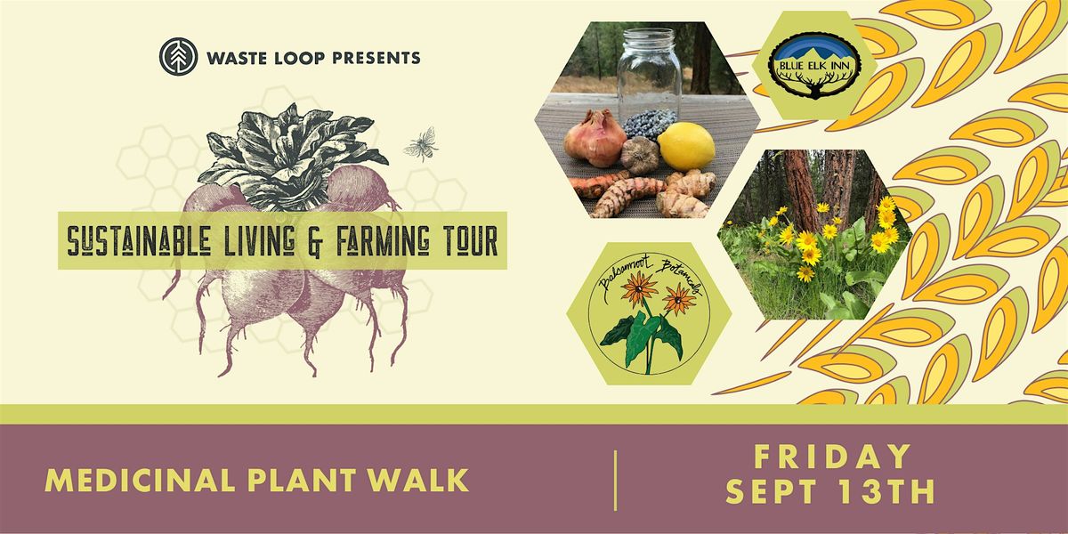 Medicinal Plant Walk