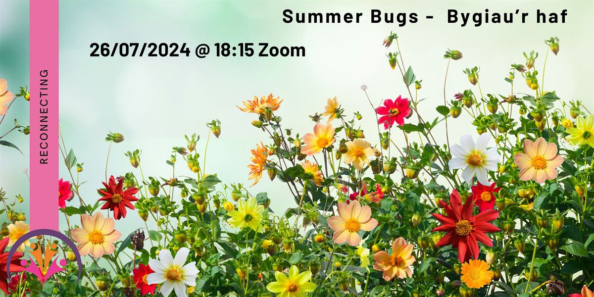 Summer Bugs -  Bygiau\u2019r haf