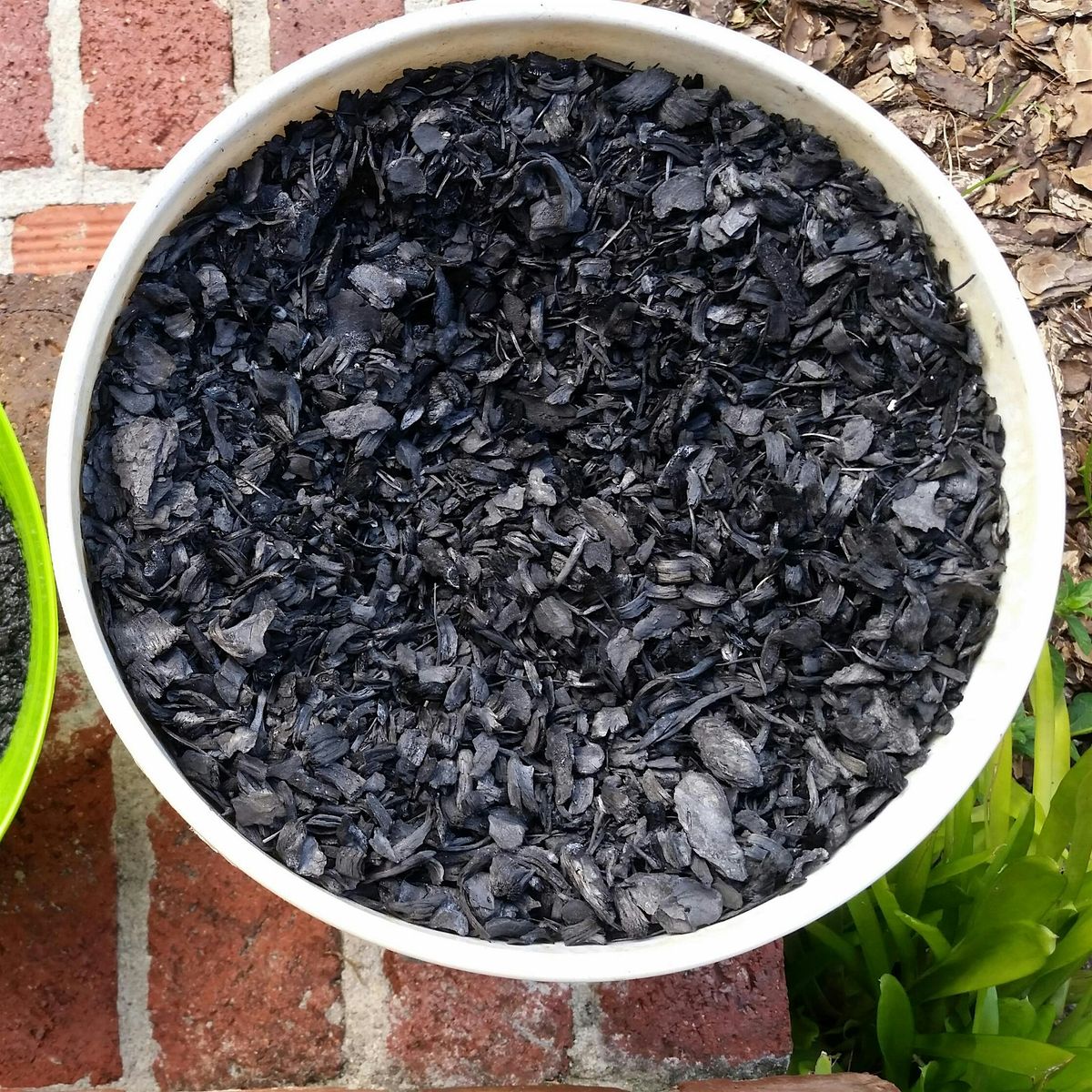 Using Biochar in the Garden