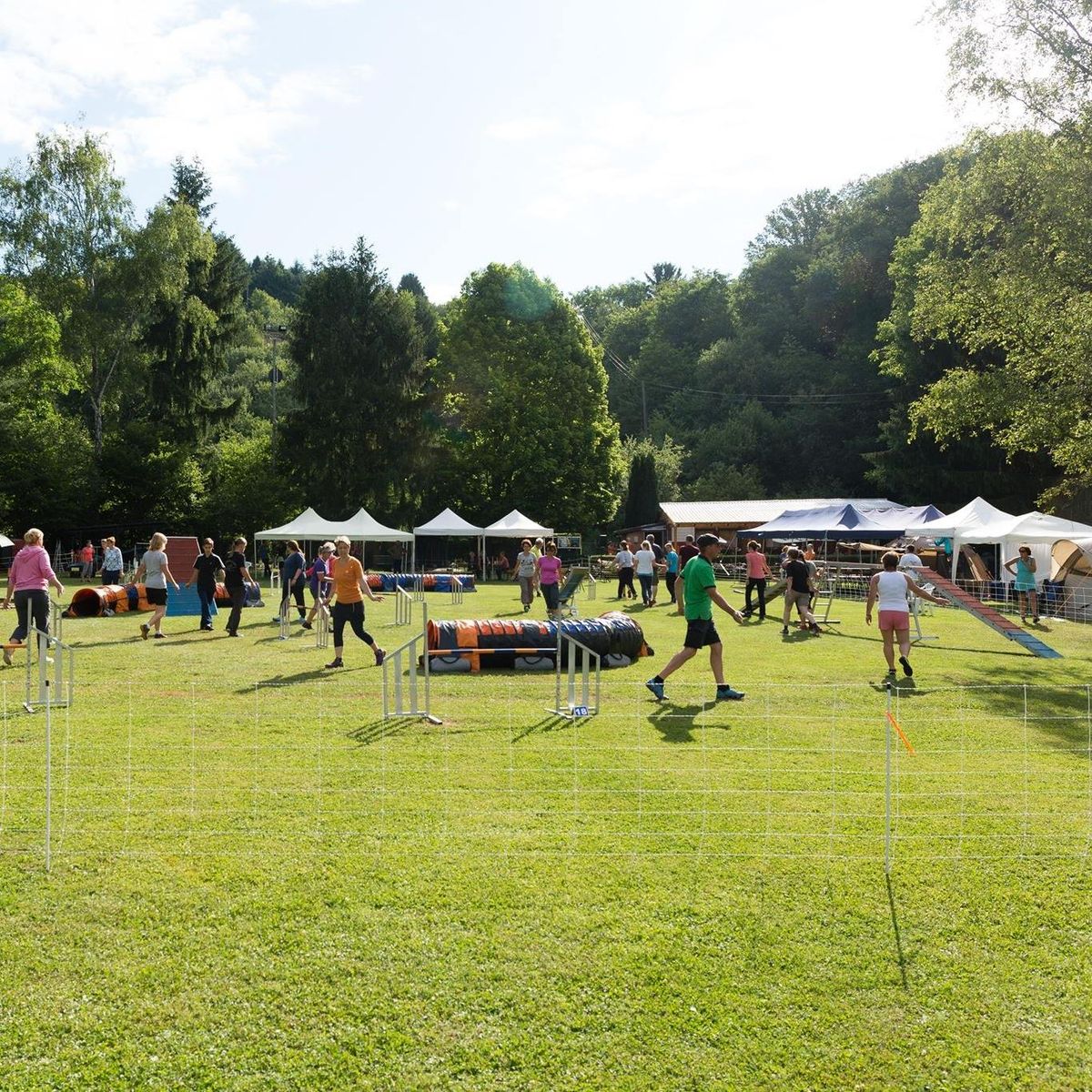 Offenes Agility-Turnier in Bad Soden vor der DVM Quali