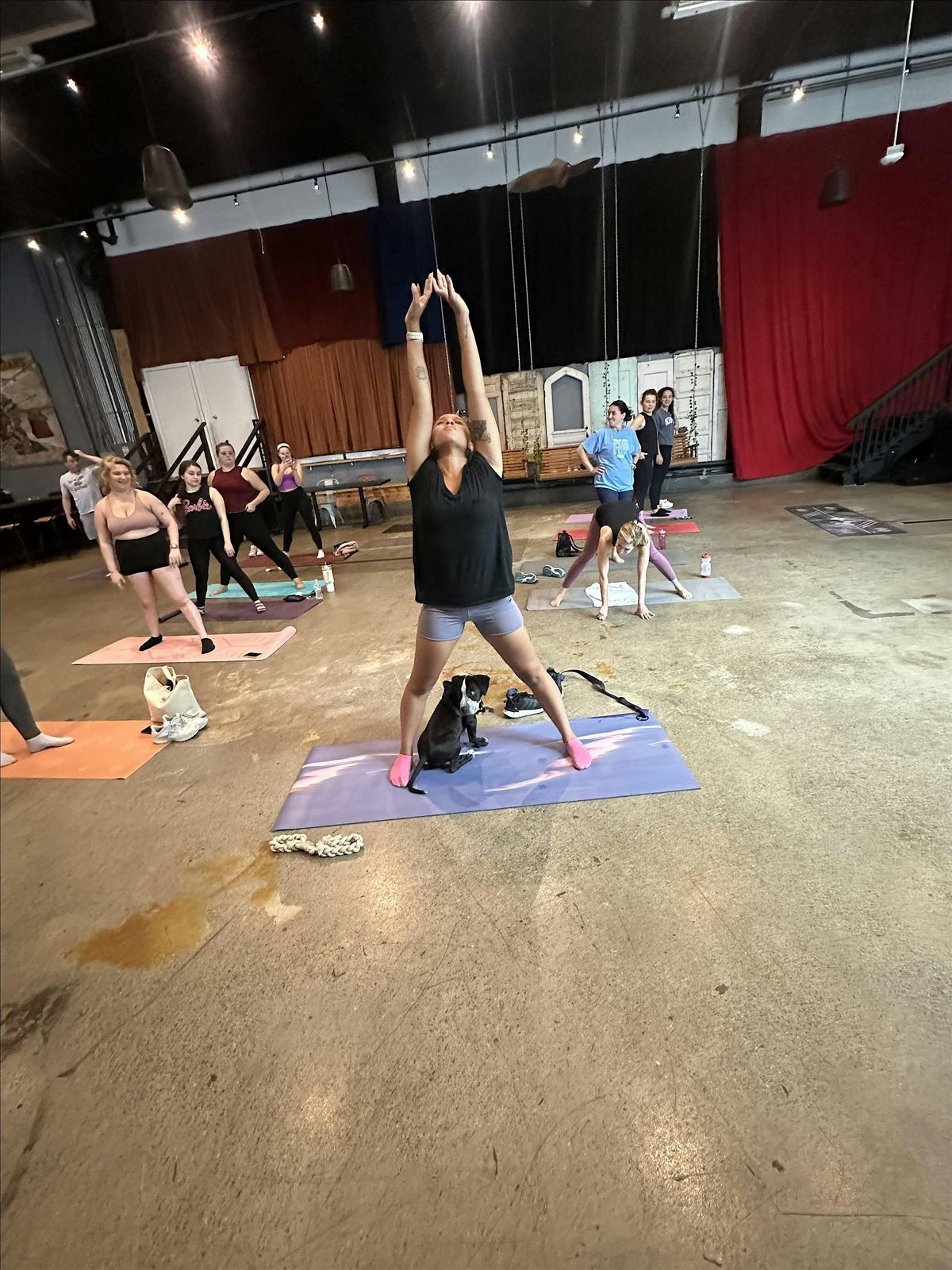 Pups & Poses: Bring Your Own Dog for a Yoga Flow with Boxing Fusion