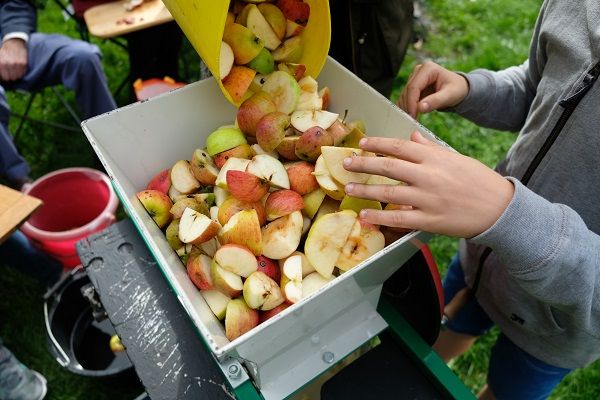 Apple Day