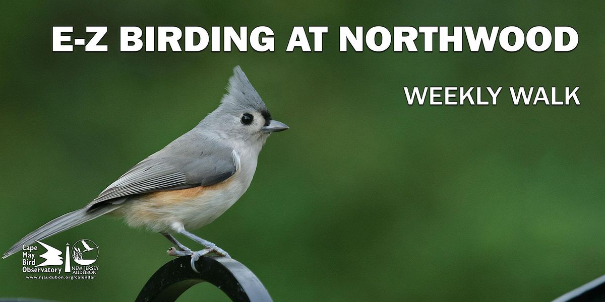 E-Z Birding at Northwood