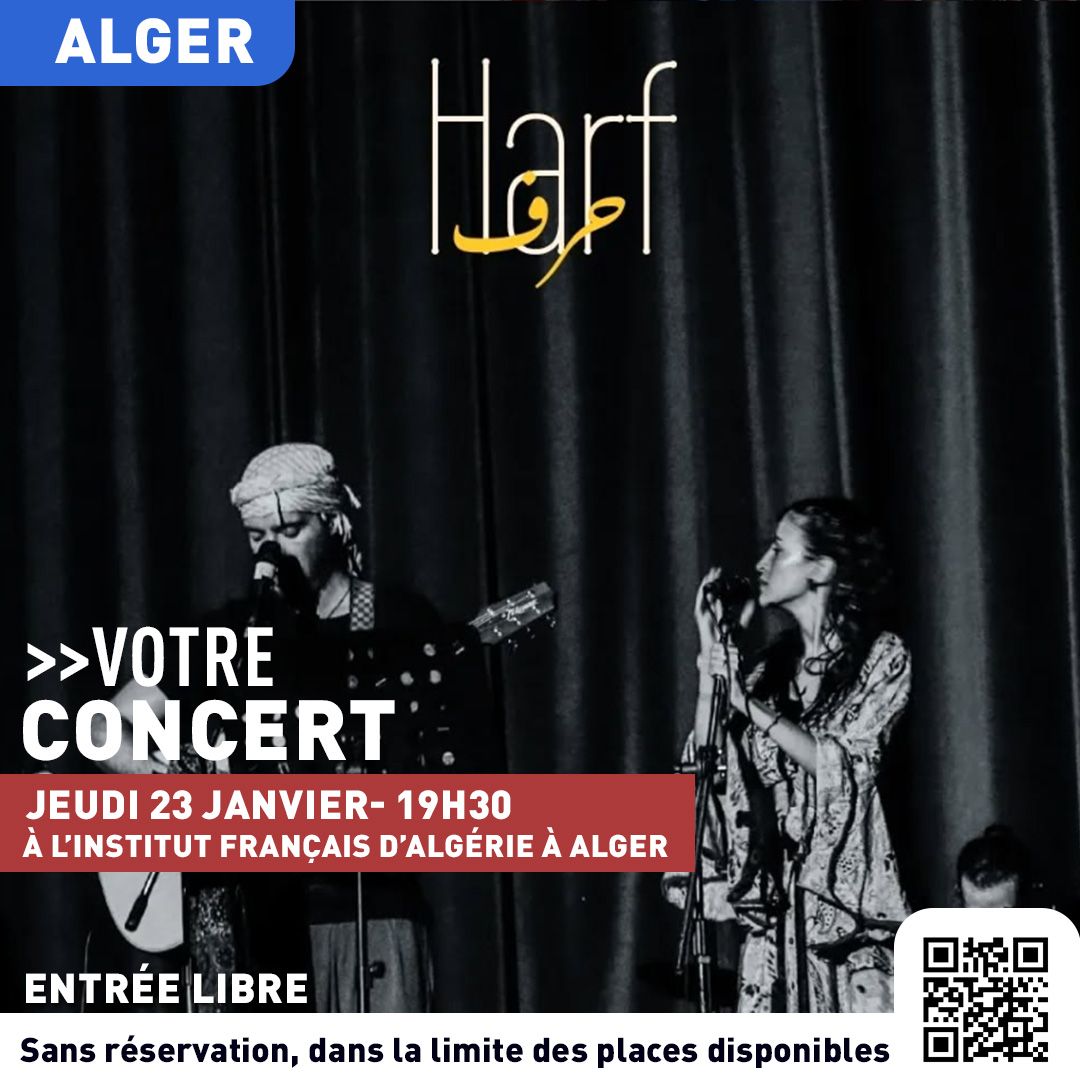 EN CONCERT EXCLUSIF : HARF 