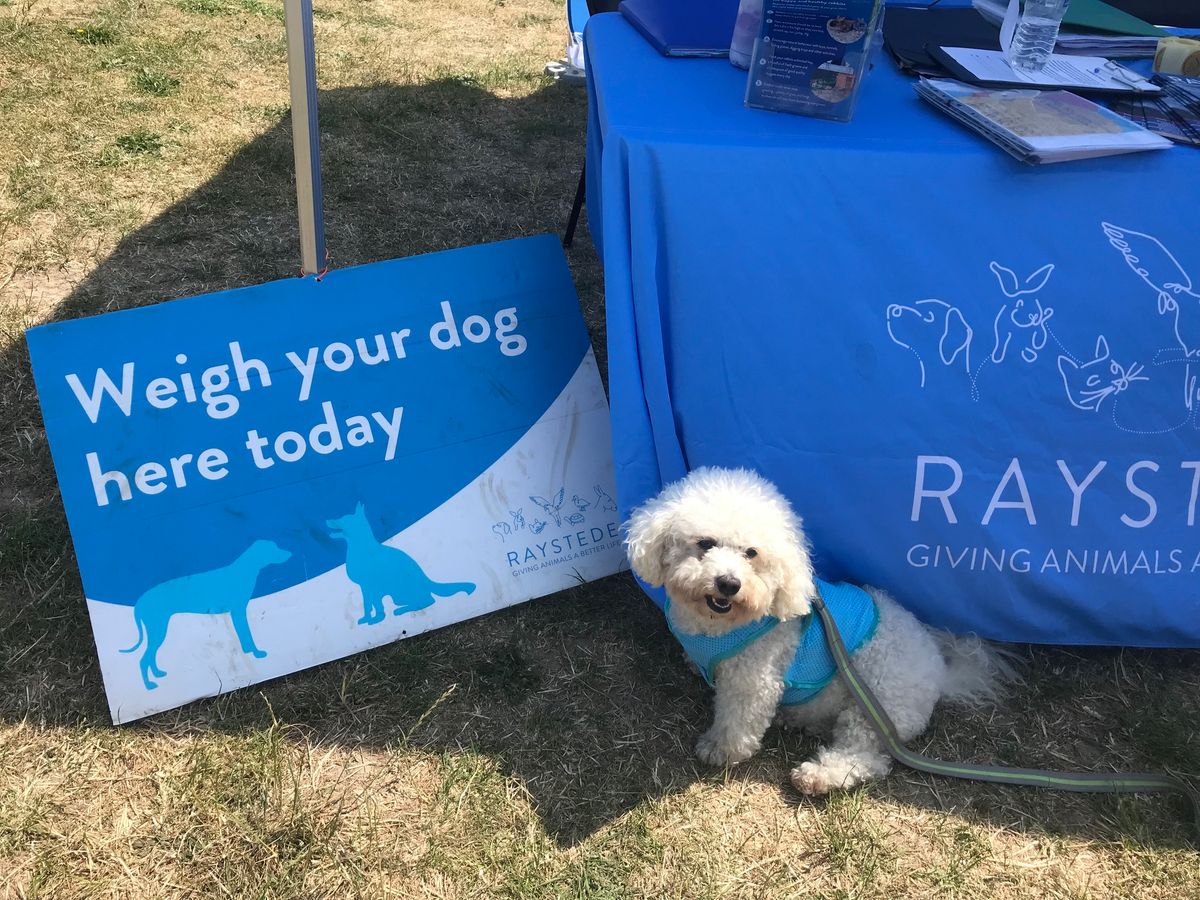 Raystede free pet advice - Thursday 30 May