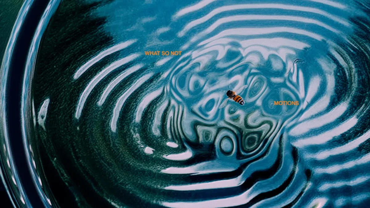 What So Not in Montr\u00e9al