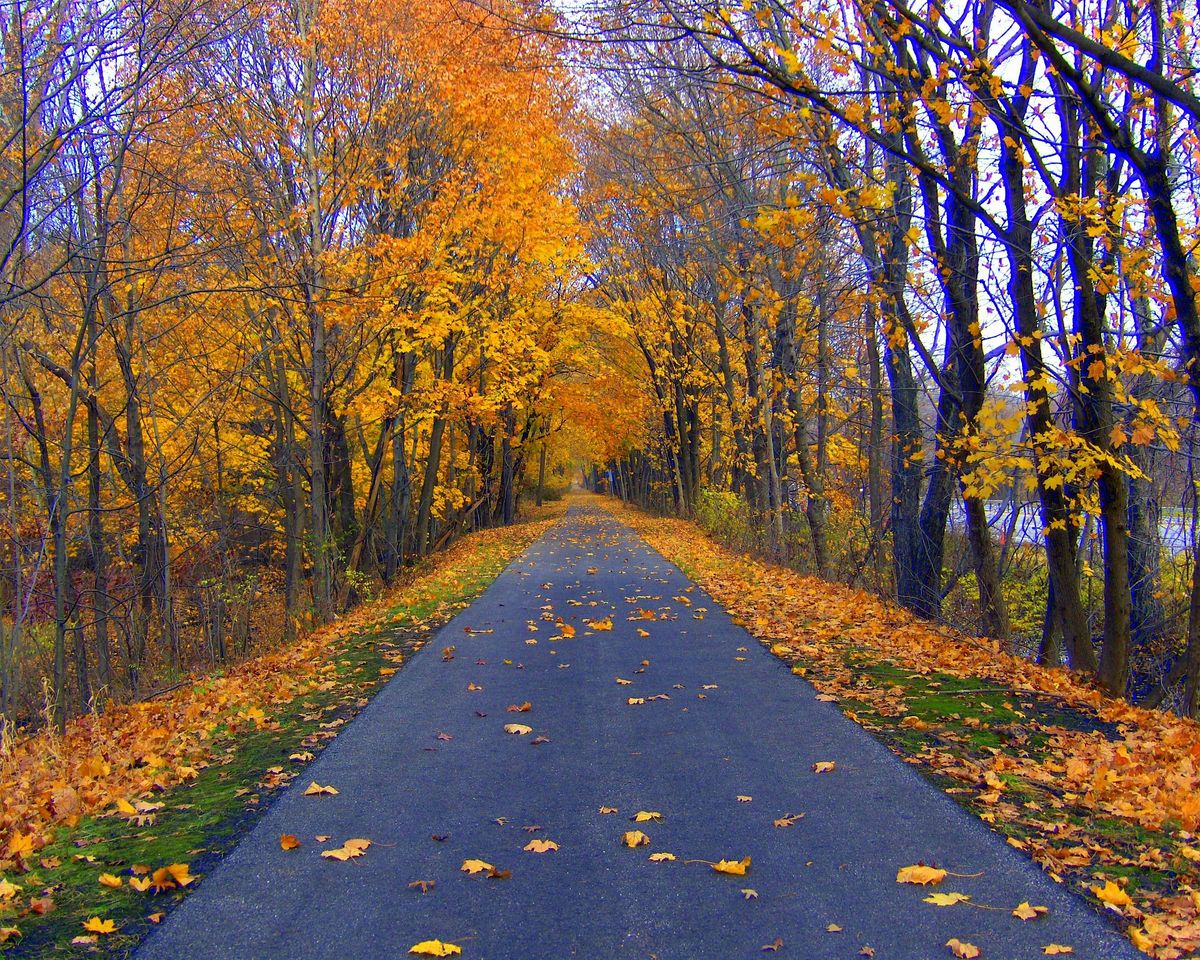 WE Bike the South County Trail to Hastings-on-Hudson!