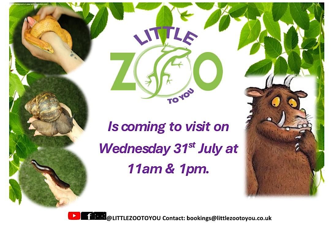 Little Zoo To you session (7 -11 years)