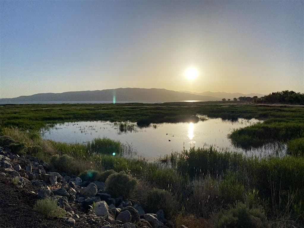 Utah Lake Shoreline Cleanup: May 2024