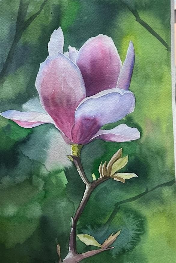Watercolour Magnolia