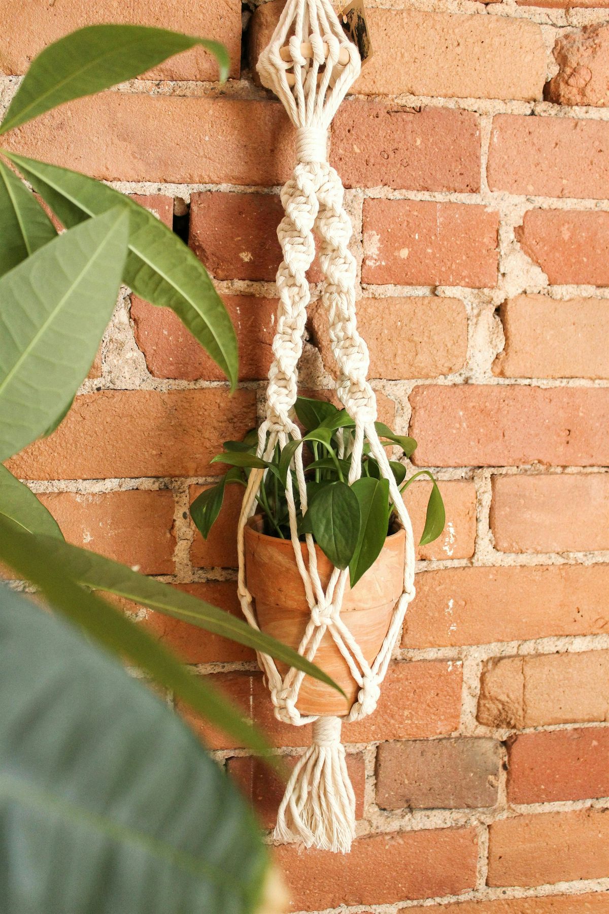 DIY Macram\u00e9 Plant Hangers for Teens