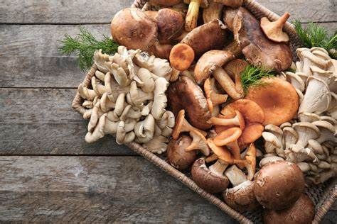 MARVELOUS MUSHROOMS: In the Kitchen with Judi Strauss