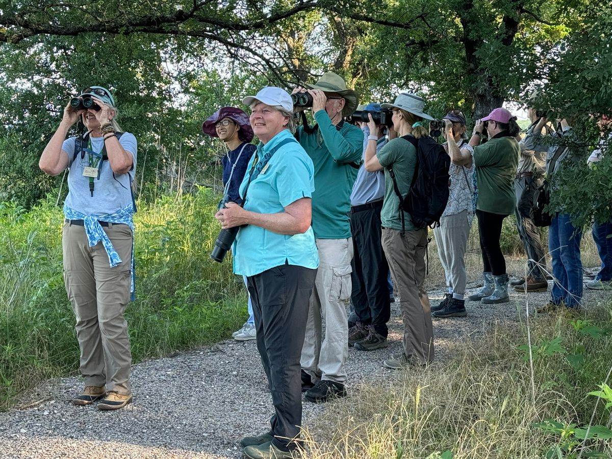 Saturday February 8th at 8am: Join the Birding Experts for an Early Bird Walk