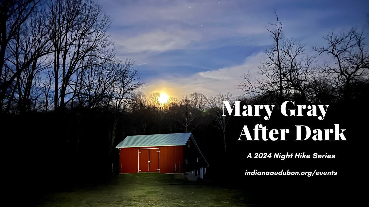 Mary Gray After Dark Series