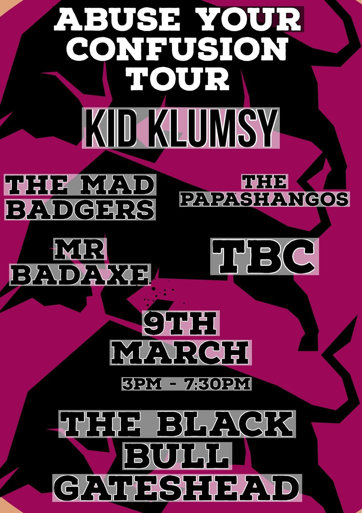 Abuse Your Confusion, Gateshead: Kid Klumsy, Mad Badgers, THE PAPASHANGOS, Mr Badaxe