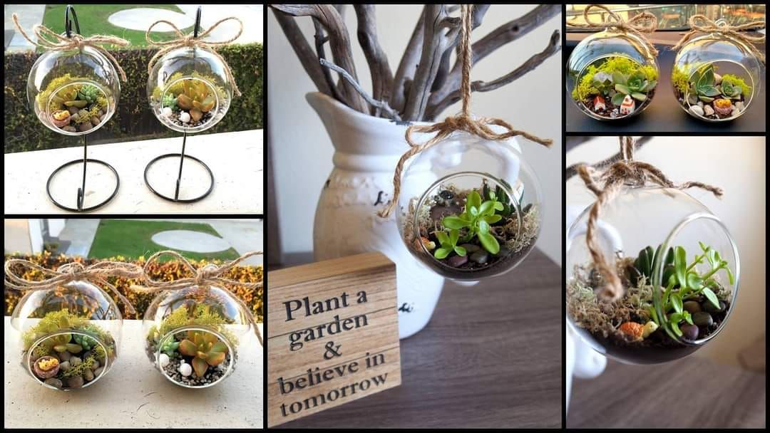 DIY Succulent Terrarium (must send msg prior to attending)\n