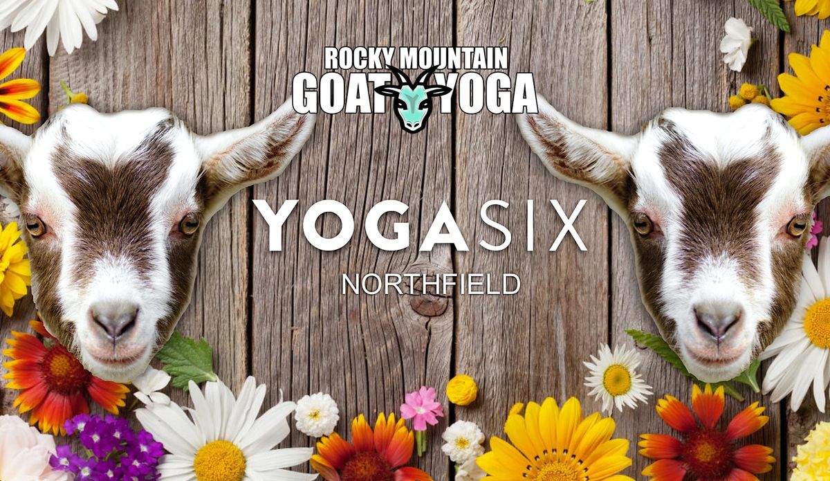 Baby Goat Yoga - September  3rd (YOGA SIX - NORTHFIELD)