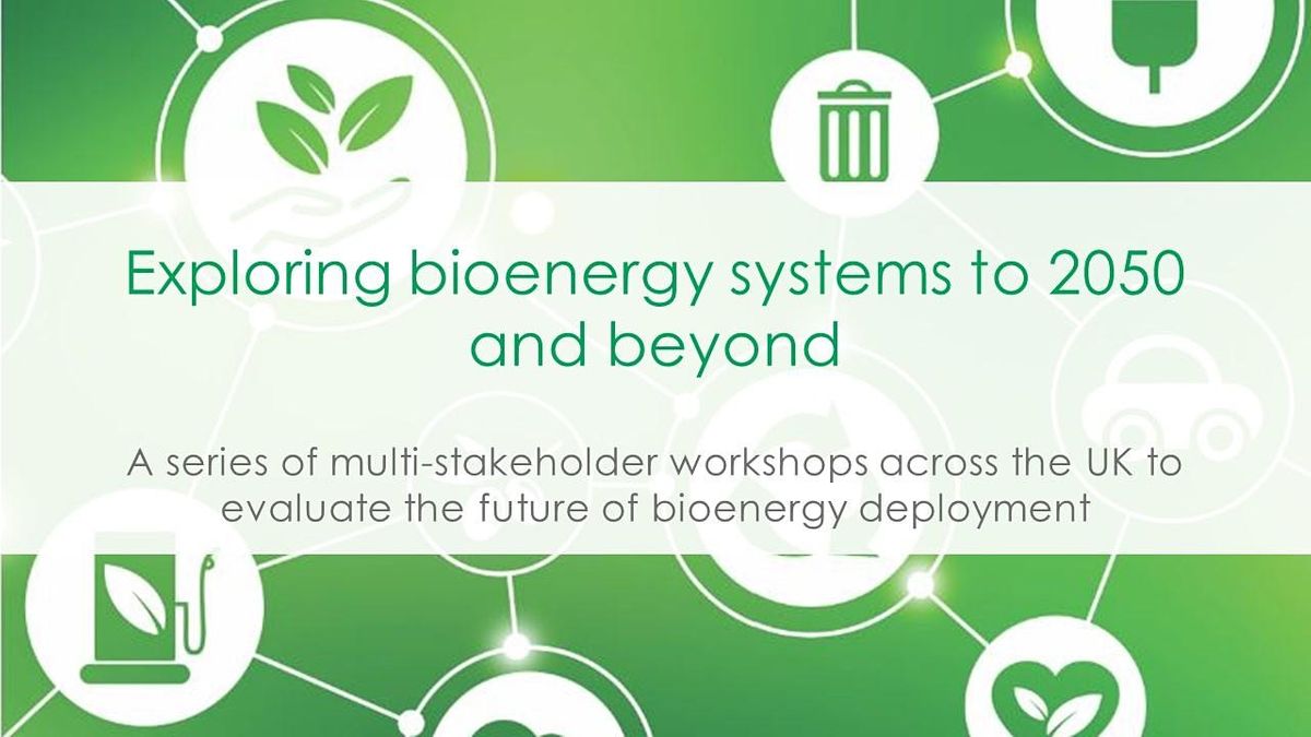 Workshop for industrialists: Exploring bioenergy systems to 2050 and beyond