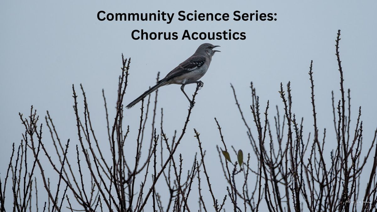 Community Science Series: Chorus Acoustics