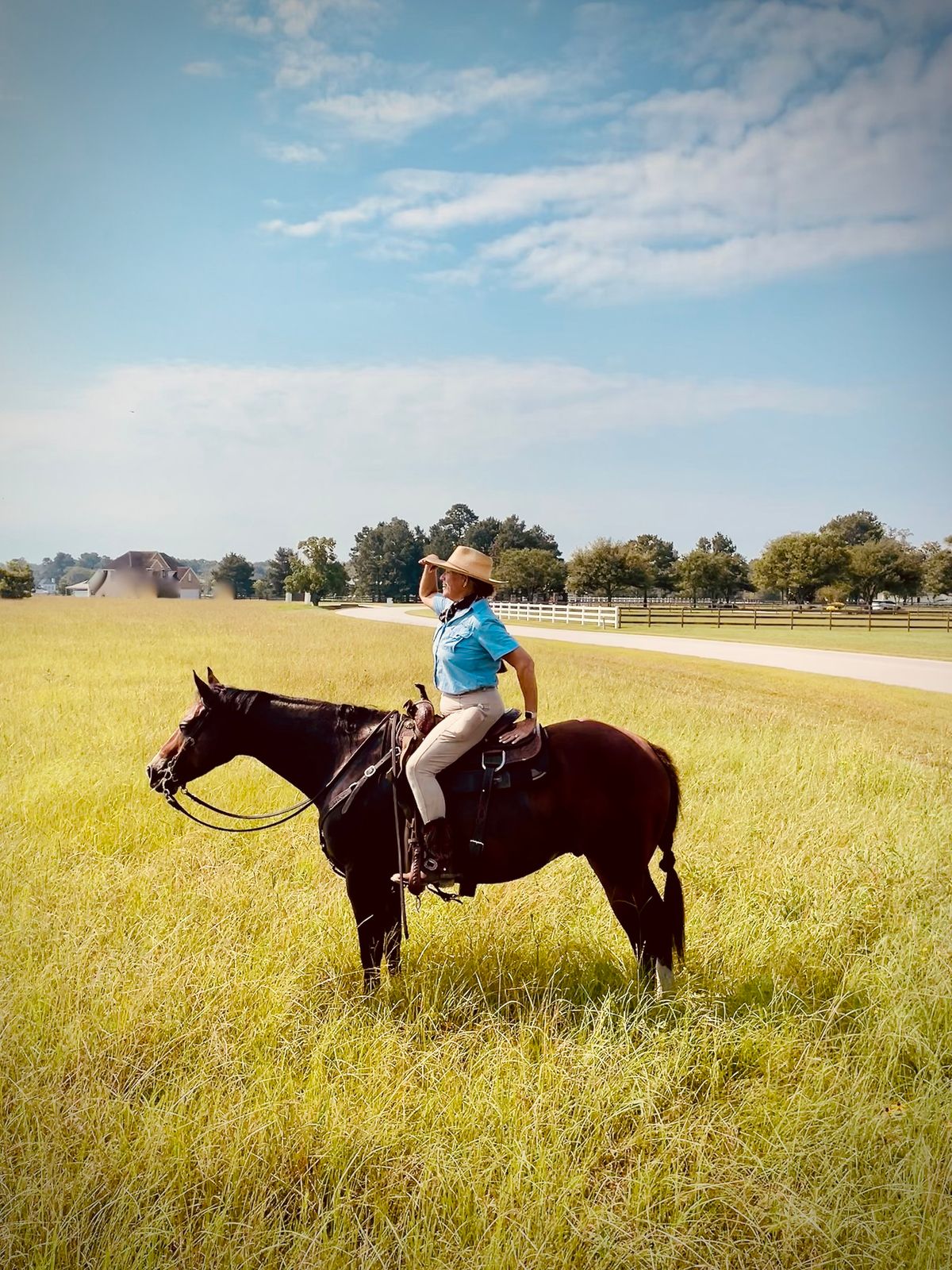 CONFIDENCE\/BEGINNER RIDER CLINIC 2 SESSIONS MORNING 9-12 AND AFTERNOON 1:30 - 4:30