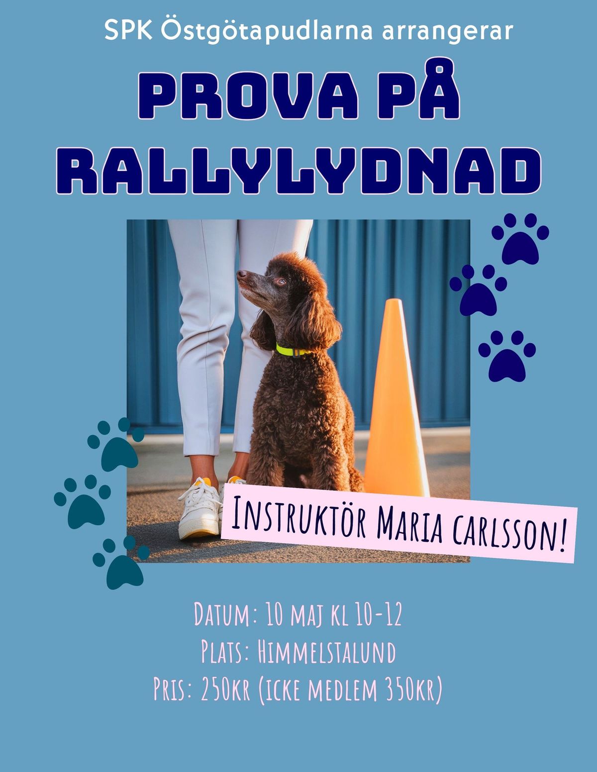 Prova p\u00e5 Rallylydnad 