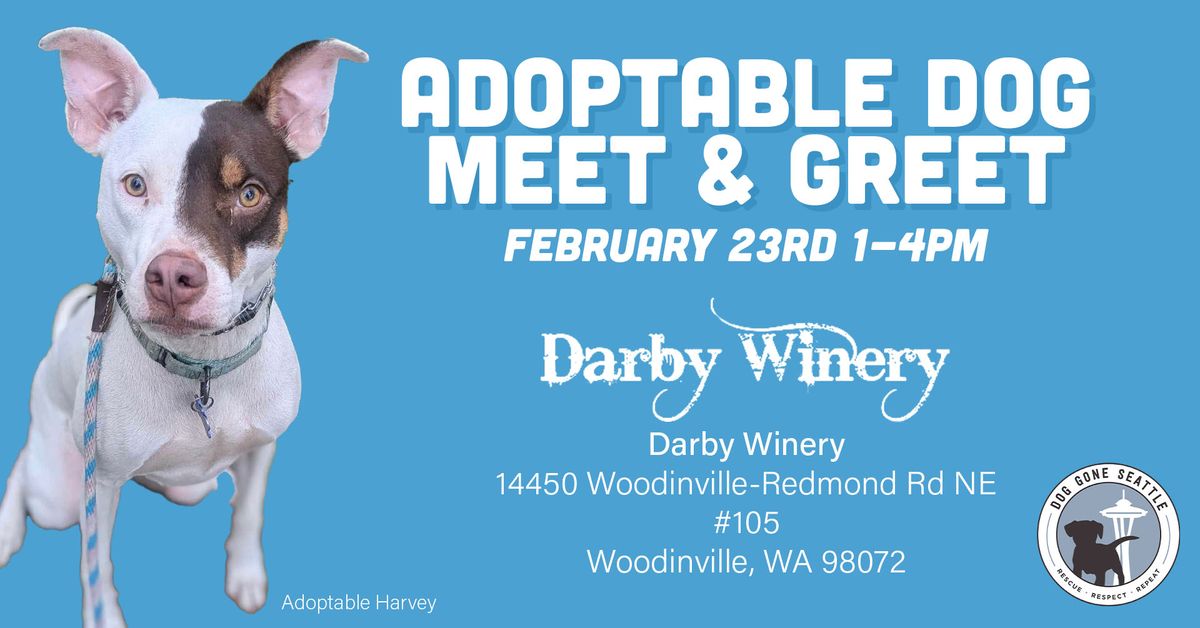 Adoptable Dog Meet and Greet