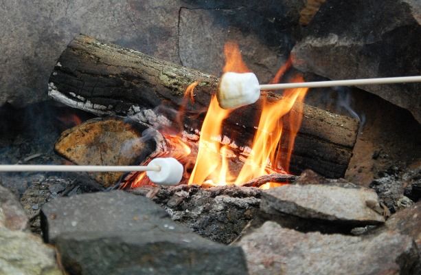 Family Campfire: Leaf Critters