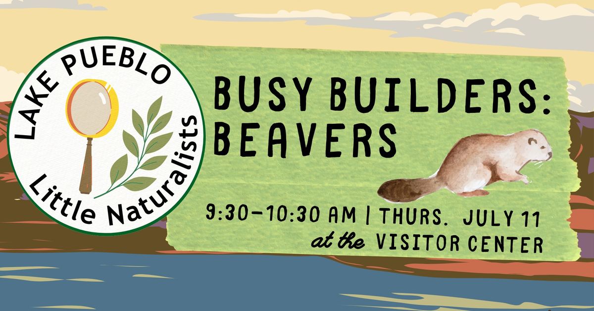 Little Naturalists: Busy Builders- Beavers