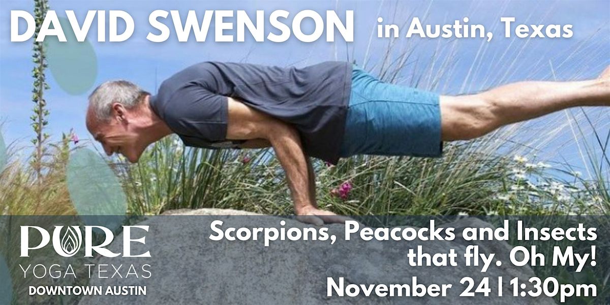 David Swenson's Scorpions, Peacocks and Insects that fly. Oh My!