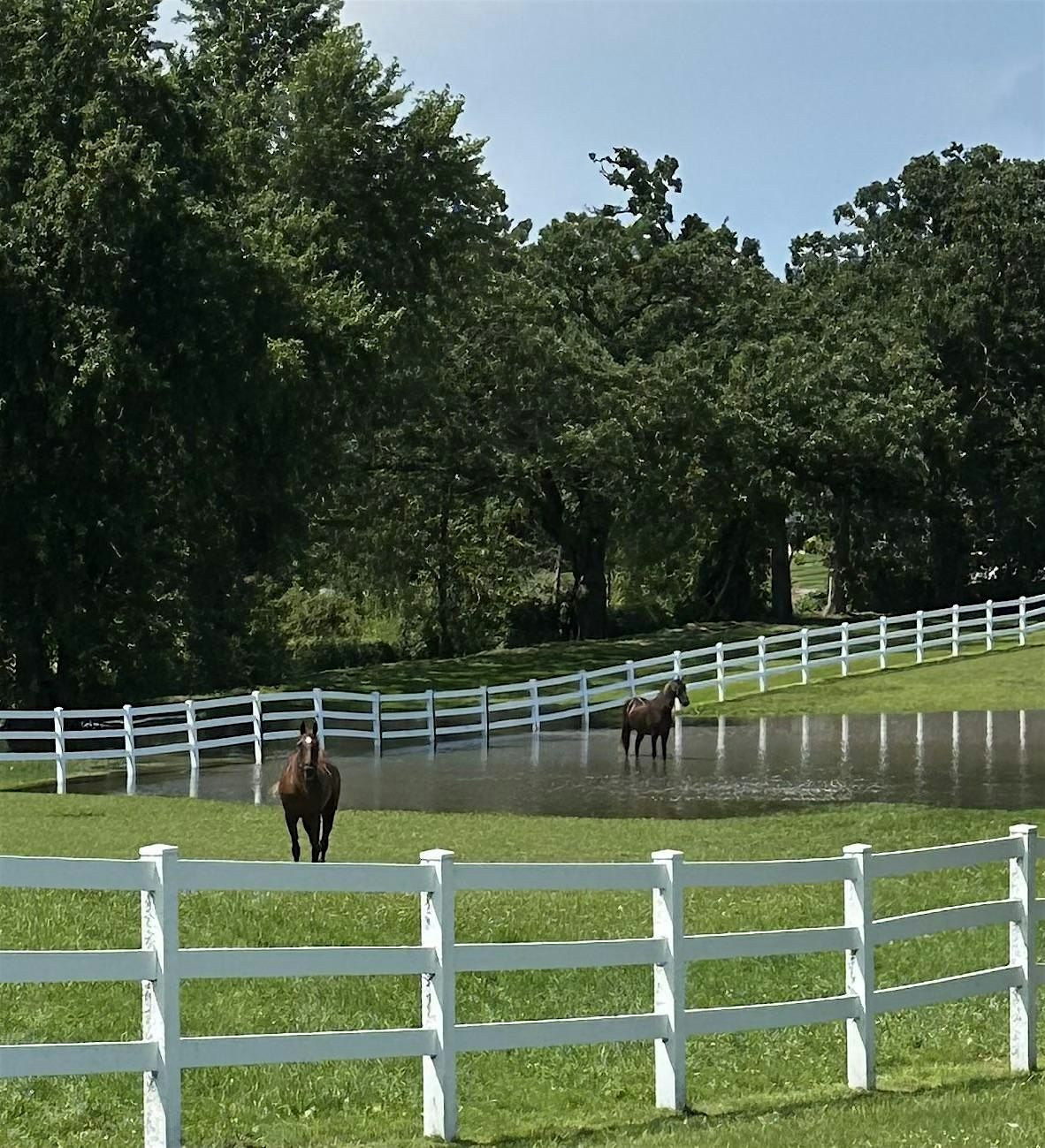 Tiny Tot & Lunge Line Riding Lessons