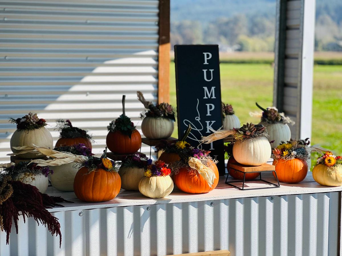 Floral Succulent Pumpkin Class at Sweet Market on Main Street