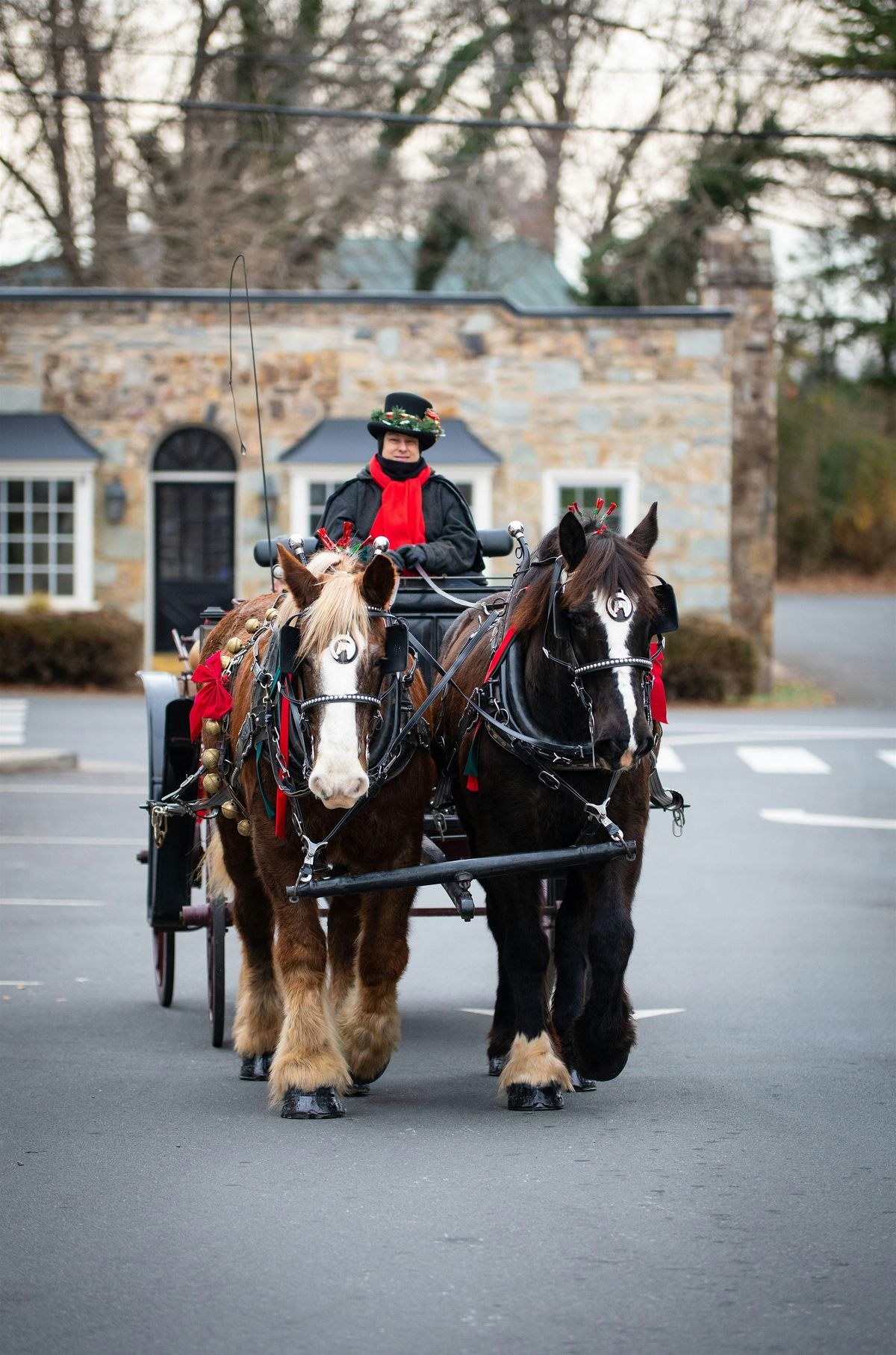 Christmas In Middleburg - Horse Drawn Carriage Rides