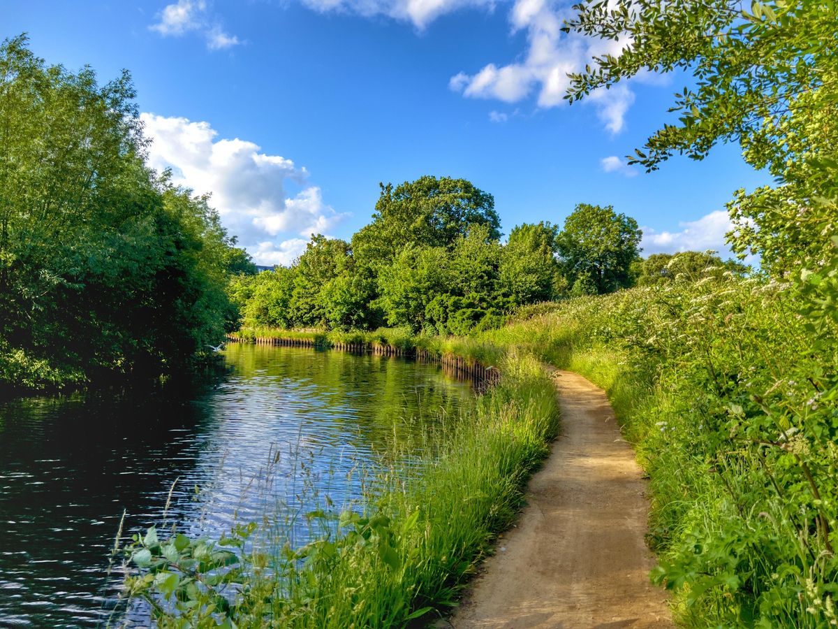 London Rivers Week A walk along the River Brent, South Greenford