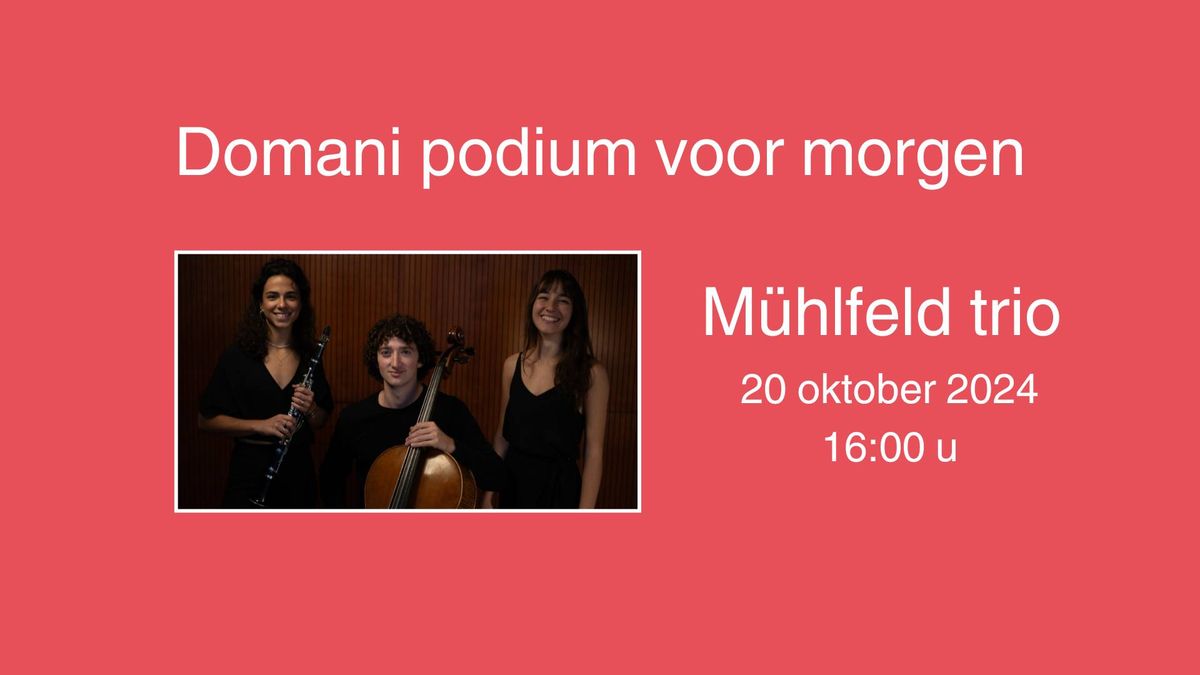 M\u00fchlfeld trio bij Domani