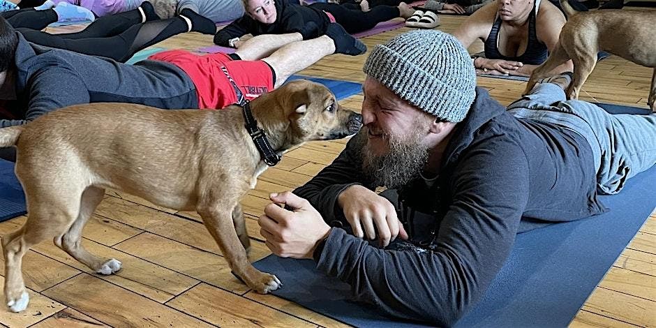 Doggy Noses & Yoga Poses at THE Pearl