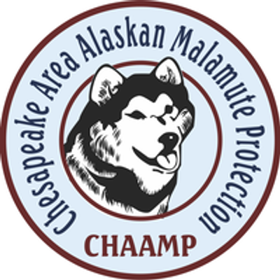 Chaamp Malamute Rescue - Chesapeake Area Alaskan Malamute Protection