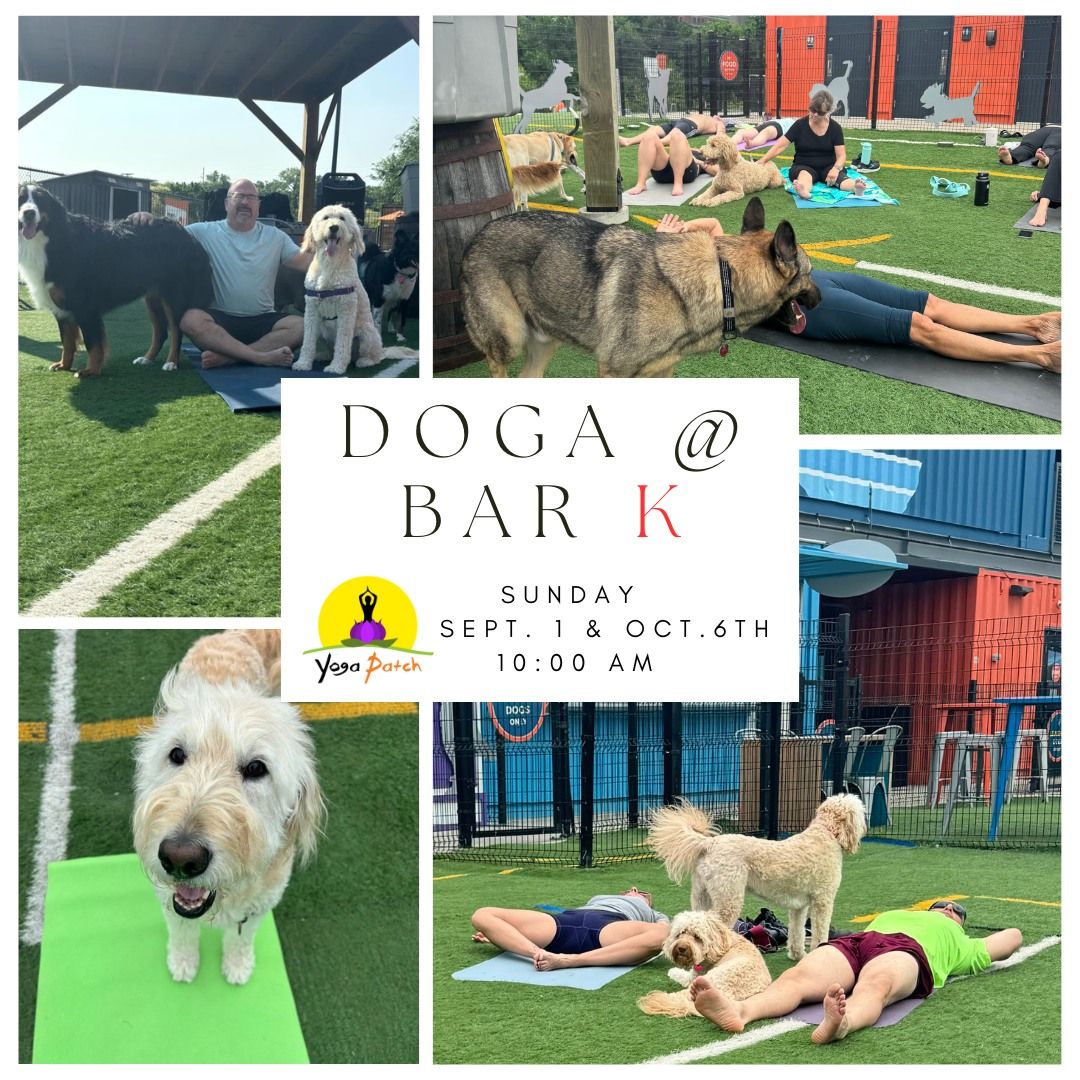 DOGA @ Bar K