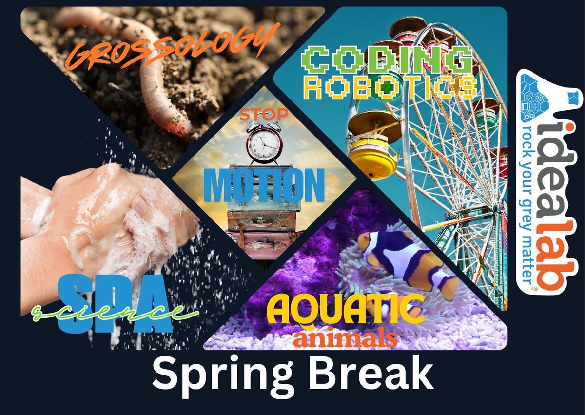 Spring Break: STEAM Adventures