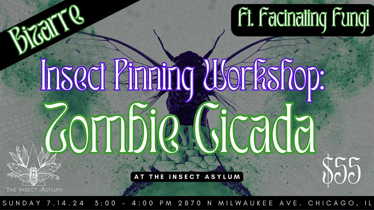 Zombie Cicada Pinning Workshop