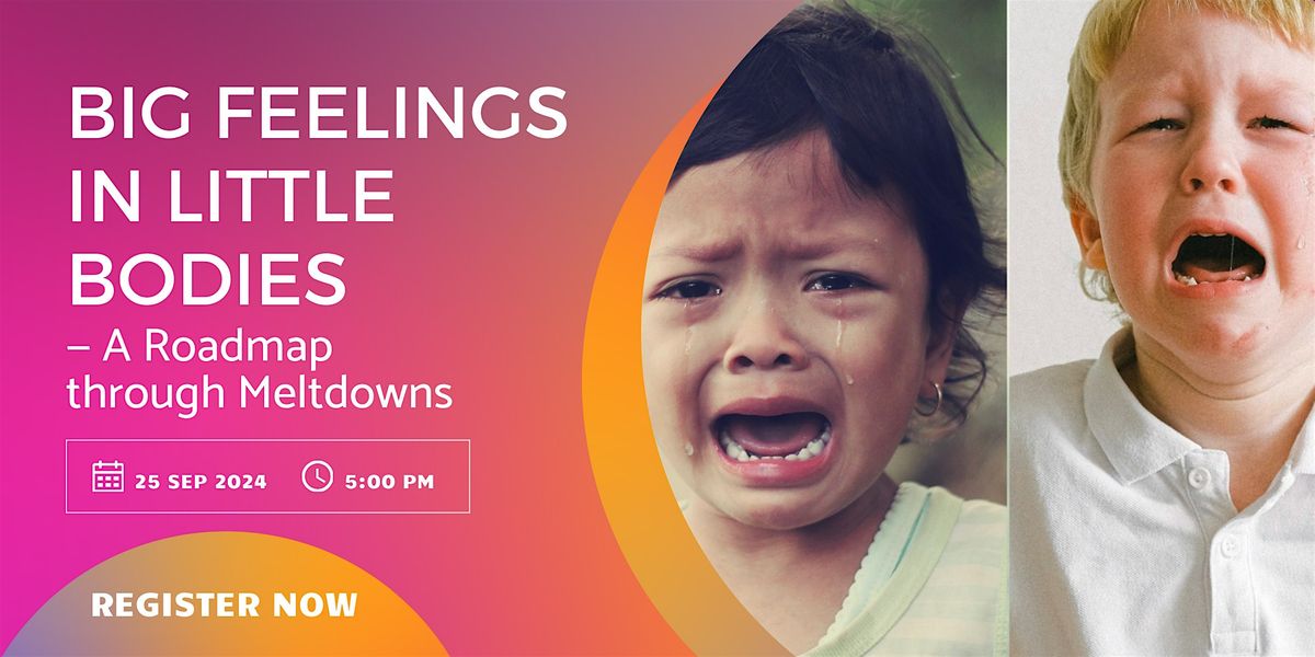 Big Feelings in Little Bodies \u2014 A Roadmap through Meltdowns