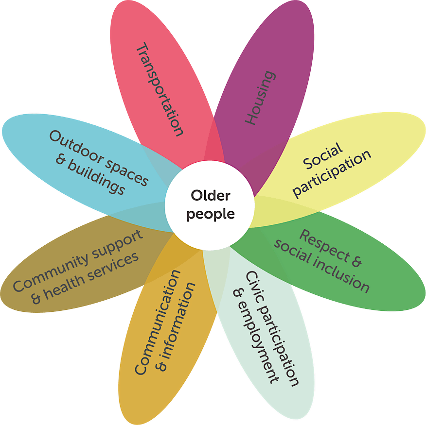 State of Ageing in North Somerset - Inclusion & Participation in Later Life
