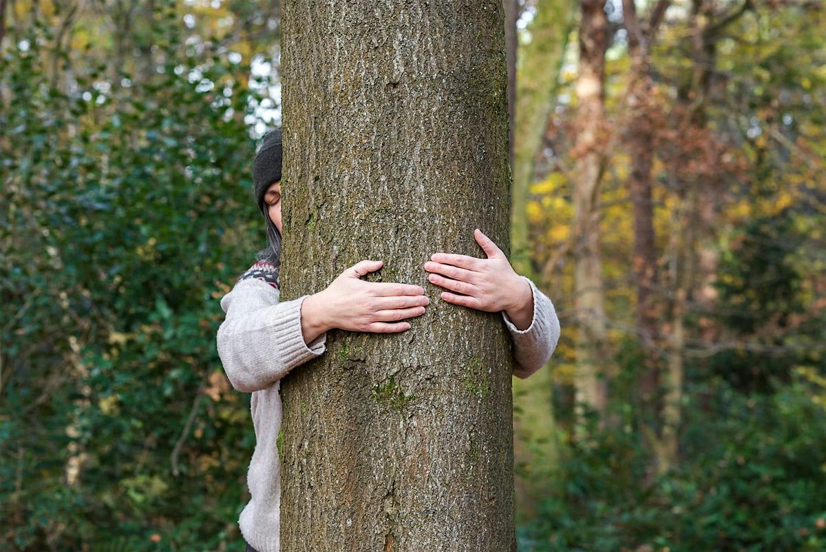 The Glasgow Tree Hugging Tournament 2024