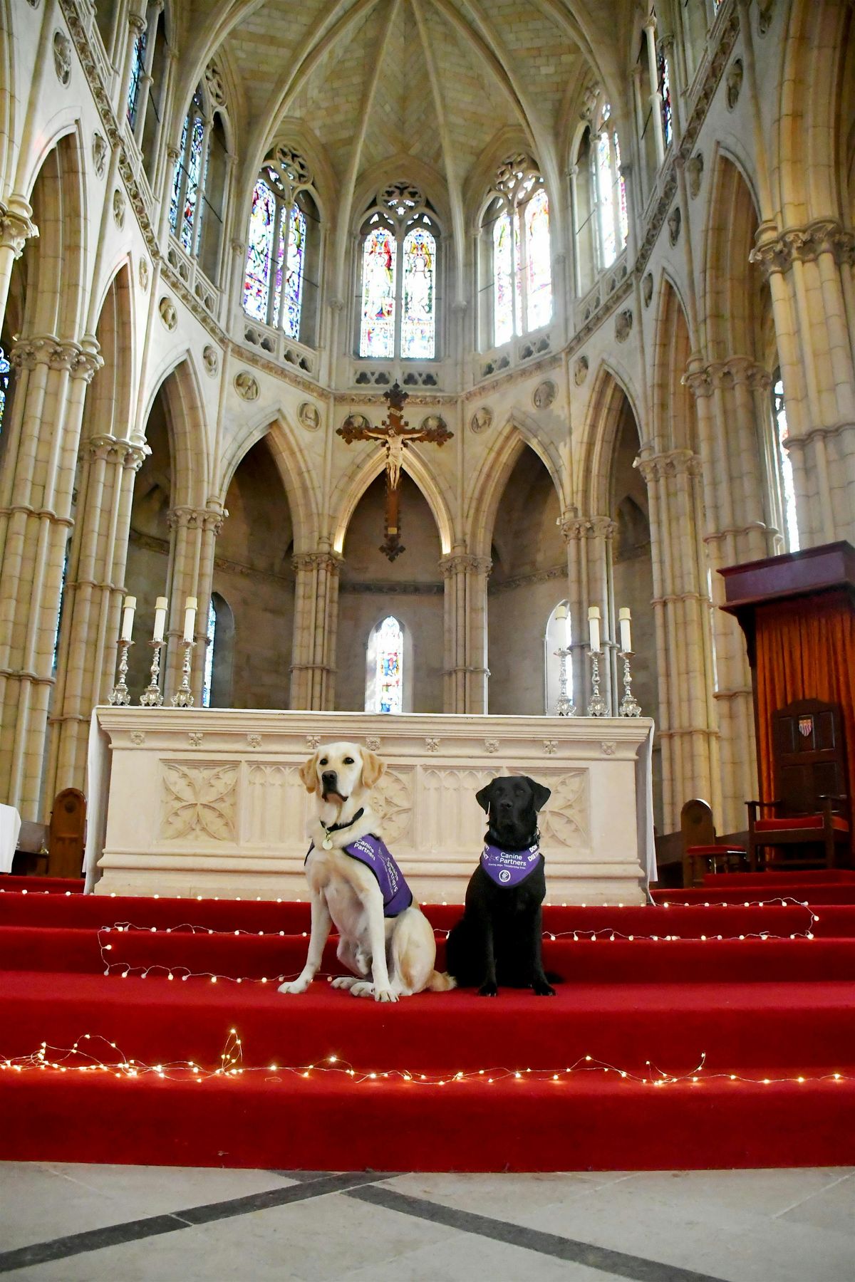 Canine Partners -  London Carol Service